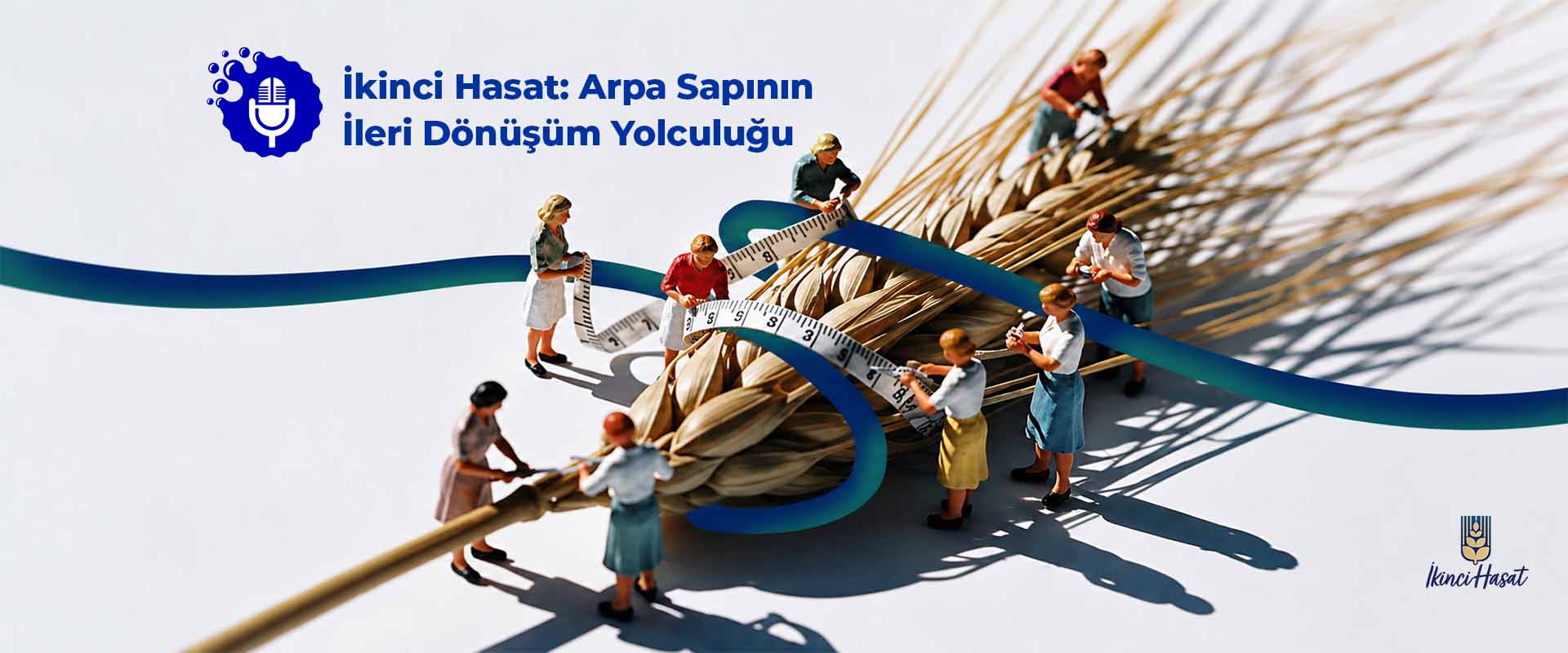 İkinci Hasat: Arpa Sapının İleri Dönüşüm Yolculuğu